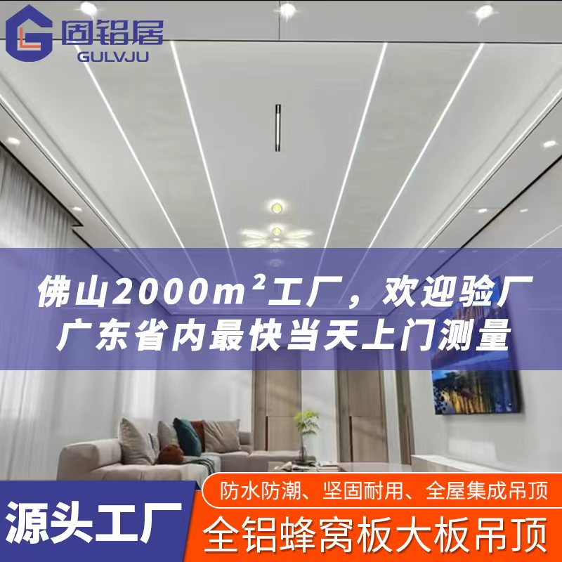 全蜂窝大板吊顶客厅厨房集成吊顶