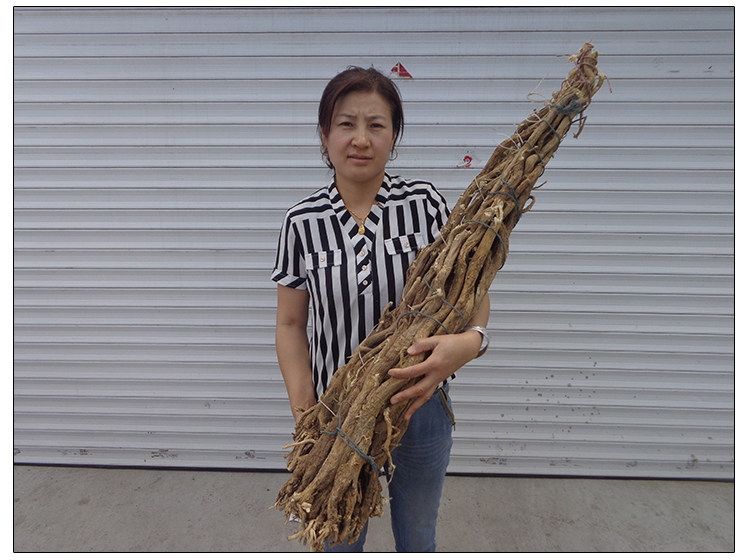 内蒙古野生黄芪500g中药材正品天然老根20年生长期无硫棉芪正北芪
