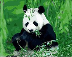 diy数字油画抽象动物熊猫绿色