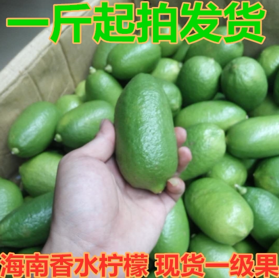海南 三亚新鲜水果 海南 产地 长香水柠檬   无籽 1斤起拍 可混搭