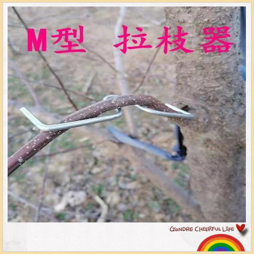 拉枝器苹果树M定型柑橘省工省时