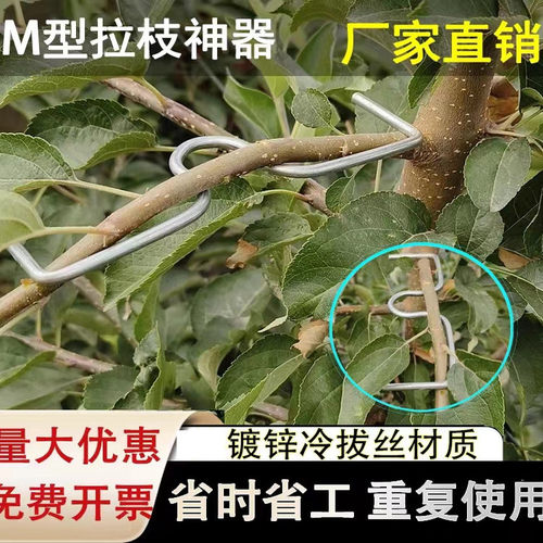 果树拉枝器sm定型柑橘月季盆景