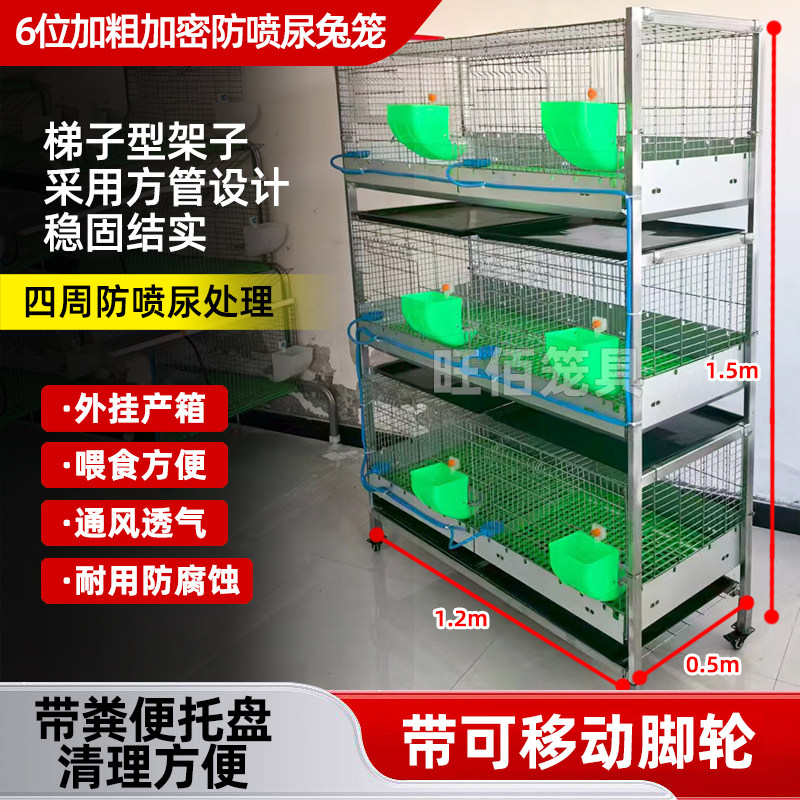 6位加粗加密防喷尿z兔笼家用养殖