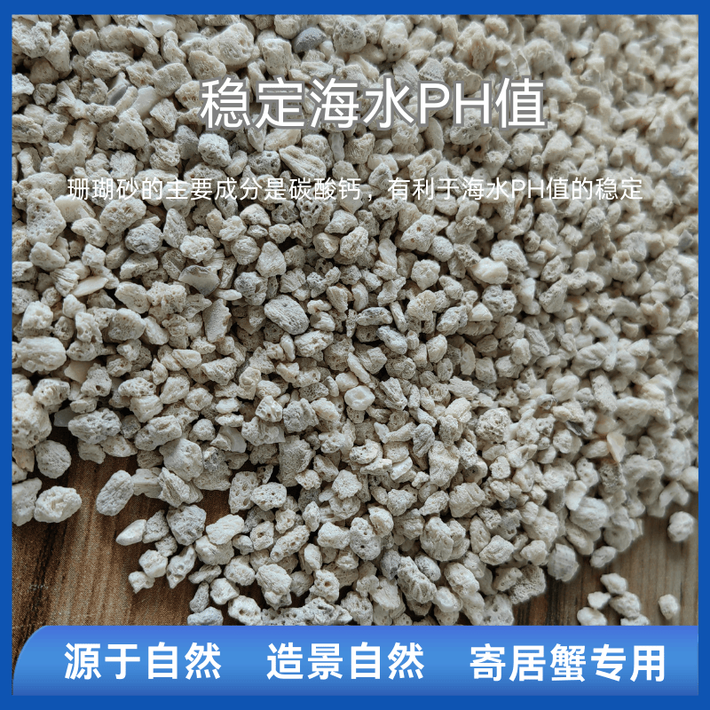 菲律宾沙天然寄居蟹虾专用鱼缸造景珊瑚沙贝壳垫材海缸三湖慈鲷鱼