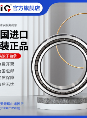 德国进口EIQ轴承SL02 NNCL4964 4968 4972 4976 4980 4984-A-C3-V
