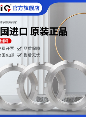 进口EIQ螺母垫片AW AN KM MB 27 28 29 30 31 32 33 34 36 38 40