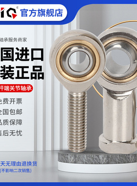 进口EIQ轴承GAKSR GAKSL 5 6 8 10 12 14 16 18 20 22 25 30-PS