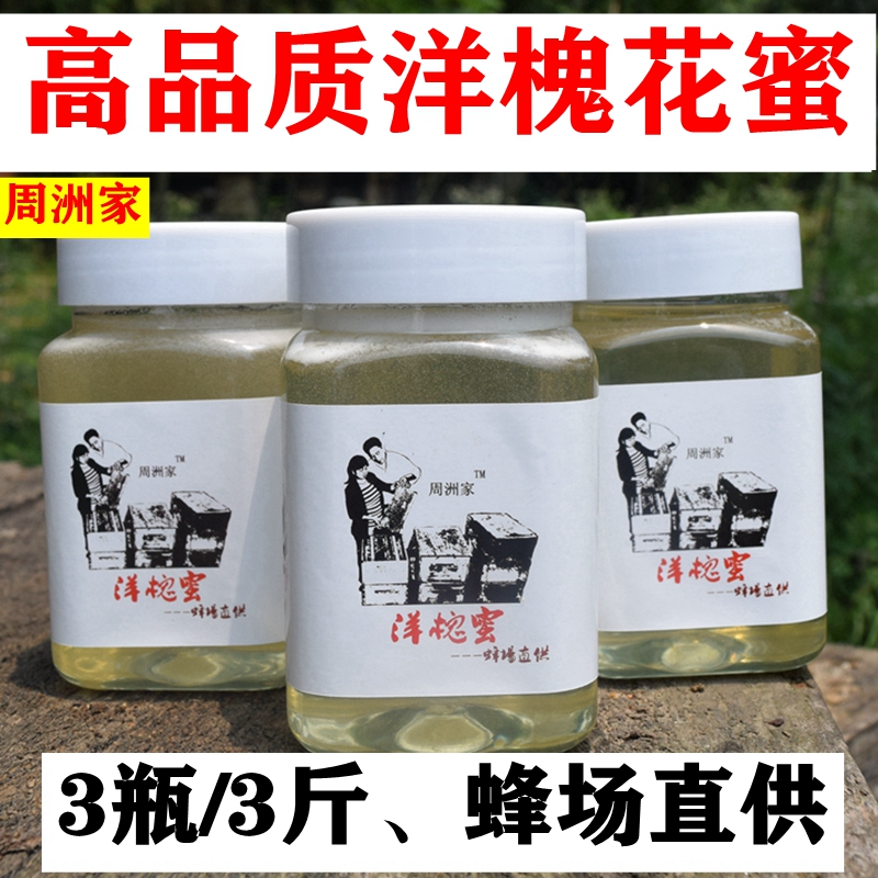 周洲家洋槐花蜜纯正天然农家自产野生成熟正宗真原蜜无添加土蜂蜜