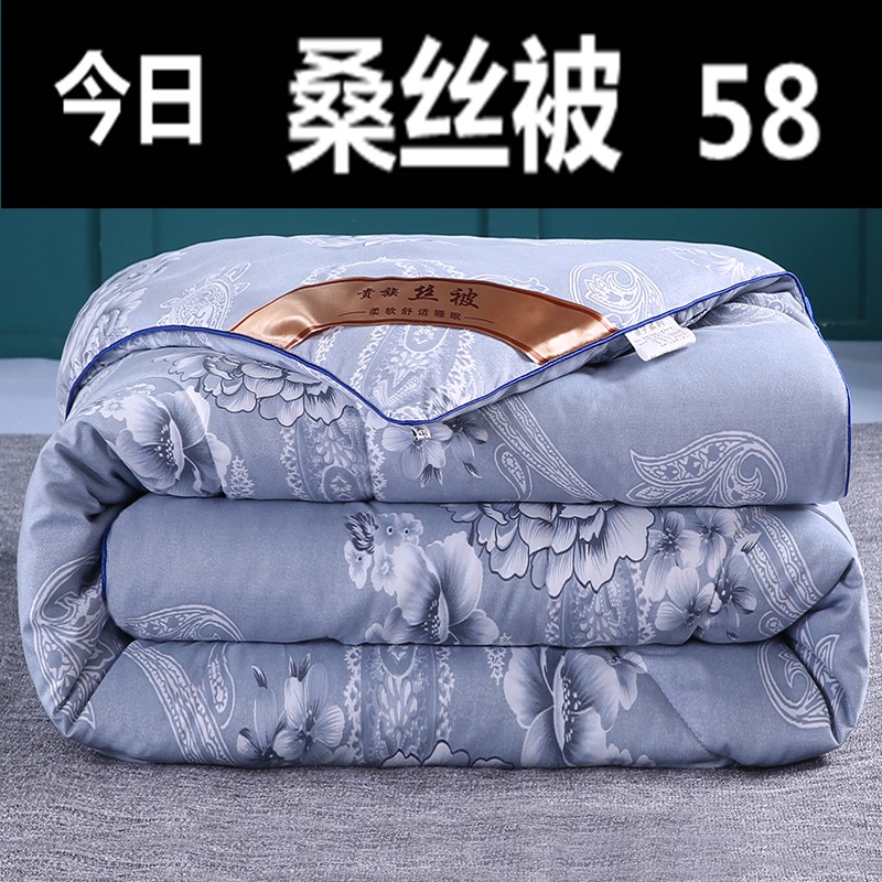 纯棉蚕丝被加厚桑蚕丝棉被秋冬保暖全棉冬被春秋被单双人夏被特价,床上用品,蚕丝被,淘宝优惠券,粉丝福利购,淘宝优惠卷