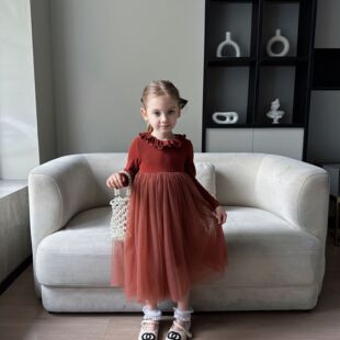 女童连衣裙秋装2026款生日礼服蓬蓬网纱裙女宝公主裙儿童秋冬裙子