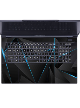 神舟GX8/GX9R9贴纸GX10R9战神G8/G9R9彩膜G10-DA7NP电脑G7RA9笔记本G12-DA9NT外壳贴膜G8-DA7NP/NT机身保护膜