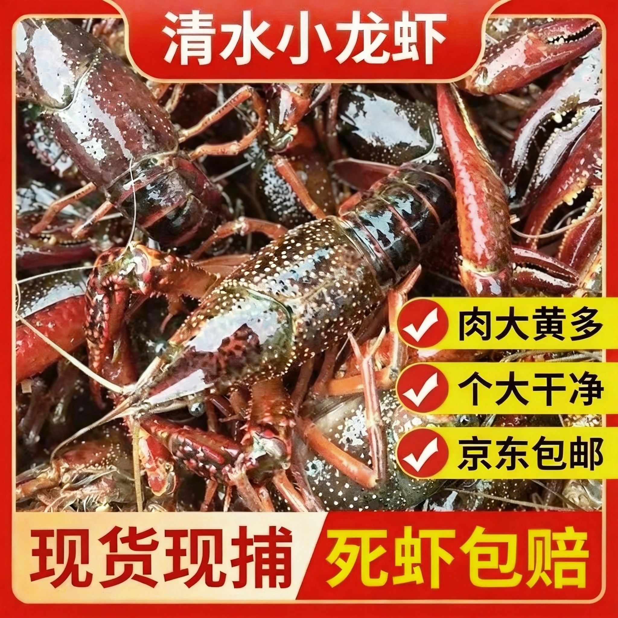 安徽龙虾小龙虾鲜活活虾清水现捞新鲜青虾红虾整箱活体包邮商用