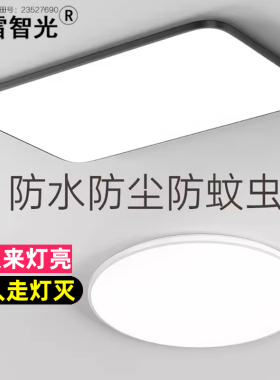 雷达感应灯超薄三防吸顶灯楼梯过道家用走廊灯led红外人体声控灯