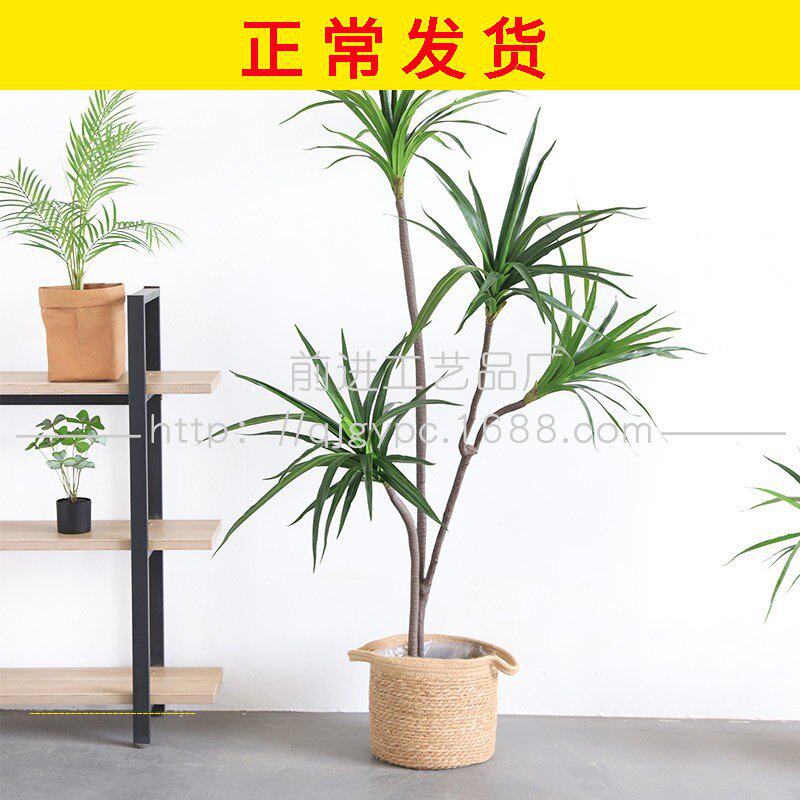 量大从优真巴西铁仿真绿植龙树千年木盆栽ins北欧绿植假树