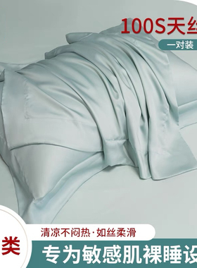 A类母婴级100支莱赛尔天丝枕套夏季凉爽冰丝真丝枕头套48x74枕巾