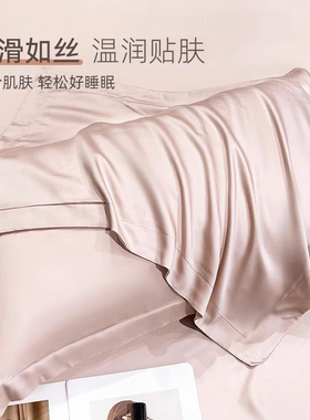 A类母婴级100支莱赛尔天丝枕套夏季凉爽冰丝真丝枕头套48x74枕巾