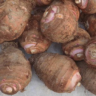 粤北韶关南雄新鲜大芋头5斤整箱小芋仔正宗红牙芋头现挖毛芋头10