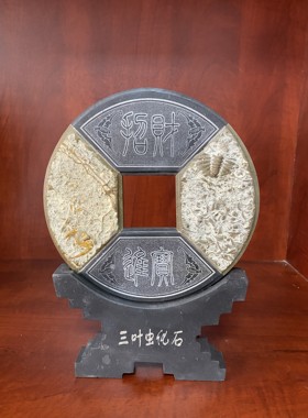 古生物标本招财进宝三叶虫化石