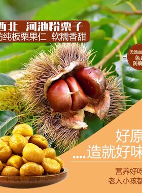 板栗桂西北甜栗100g袋装广西特产