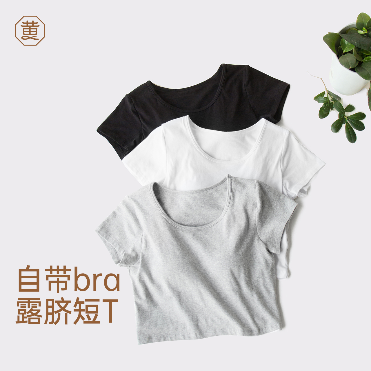 黄小姐带胸垫免穿文胸打底短袖
