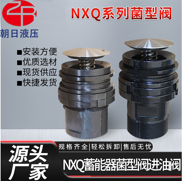 厂家直销NXQ蓄能器菌型阀 储能器菌型阀 氮气罐蓄能器阀组进油阀
