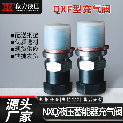 NXQ液压蓄能器充气阀 剪板折机氮气单向阀 QXF-5补气阀气门嘴