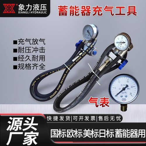 现货液压蓄能器CQJ-25剪板机充气工具 剪板机充氮工具 充气阀25Mp