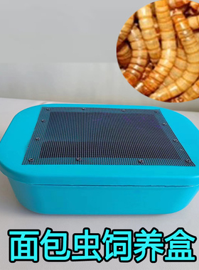 面包虫饲养盒黄粉虫养殖盒蟋蟀杜比亚蟑螂大麦虫饲养盒子