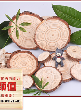 圆木片幼儿园环创森系松果