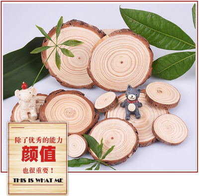圆木片幼儿园环创森系松果