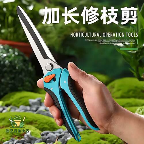 强力花枝剪枝园艺剪子修枝剪省力修剪树枝果树枝园林花卉花艺剪子