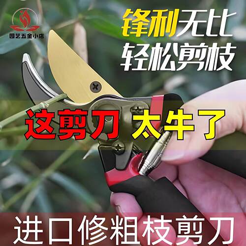 原装德国进口SK5果树修枝剪刀强力园林修剪树枝省力园艺修花枝剪