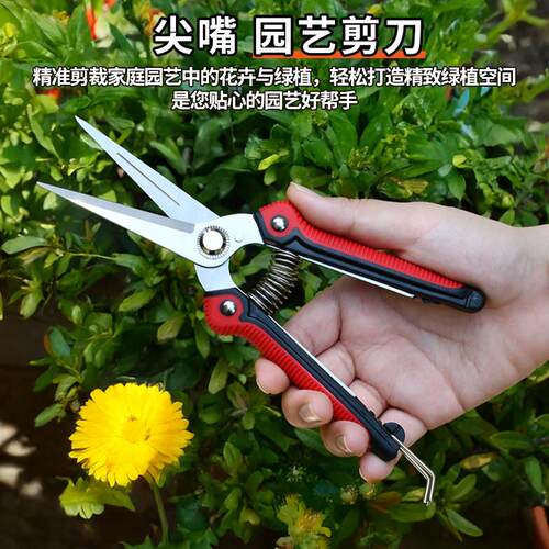 园艺剪刀不锈钢修枝剪多用途果树园林剪树枝剪修枝剪花艺园艺剪刀