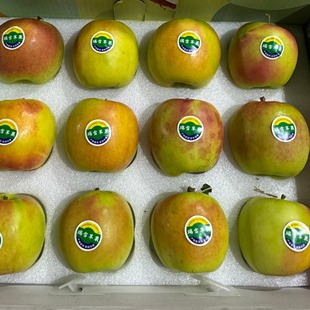 四川高原翡翠瑞雪青苹果 翠甜多汁孕妇水果现摘四川当季新鲜水果