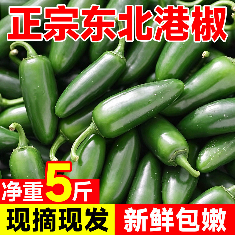 东北特产新鲜港椒辣椒泡椒当季新鲜蔬菜现摘现发农家自种5斤包邮