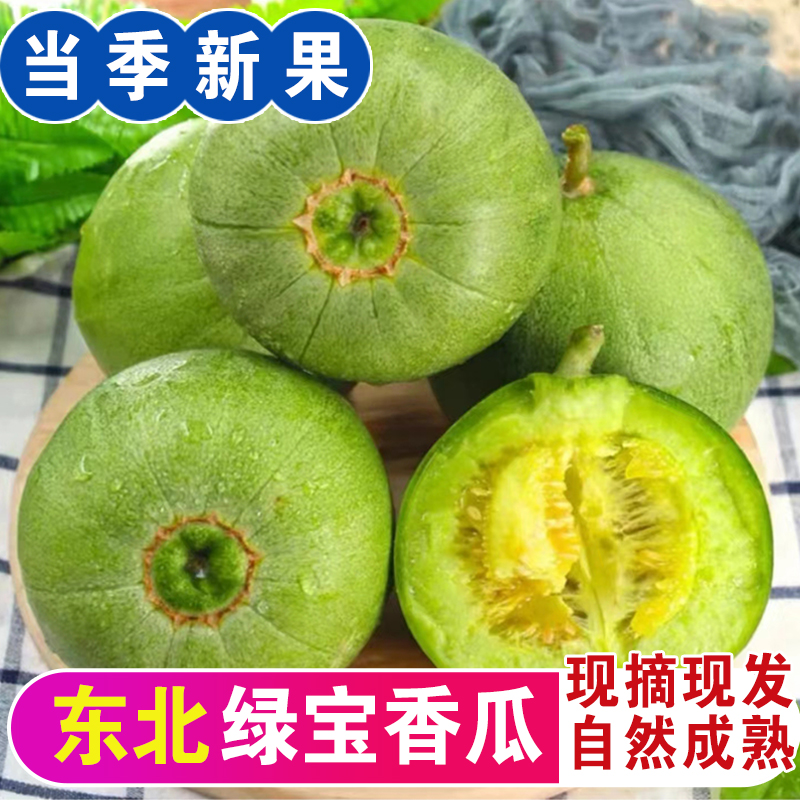 东北绿宝甜瓜香瓜水果新鲜香瓜当季时令小蜜瓜脆瓜应季蜜瓜5斤装