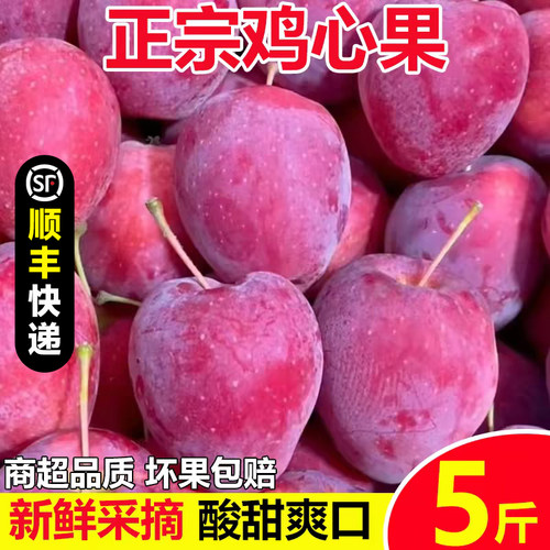 东北特产鸡心果新鲜水果整箱顺丰