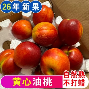 新鲜黄心油桃当季现摘现发孕妇时令水果脆甜多汁黄心桃子整箱包邮