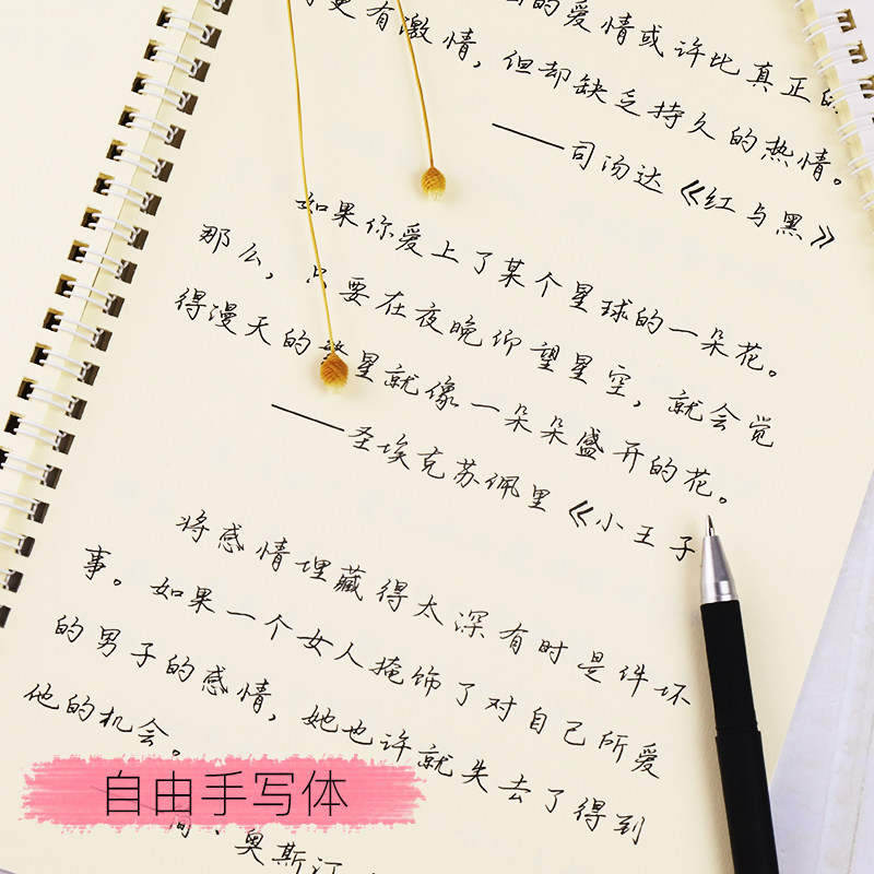 字帖女生字体漂亮行楷字帖玫瑰体奶酪体山茶体柠檬体自由手写体