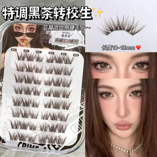 【baby同款睫毛】麦丢丢黑茶转校生千禧风混血感亚裔上镜单簇推荐