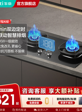 华帝燃气灶i10309D煤气灶大火力家用天然气定时双灶官方旗舰店