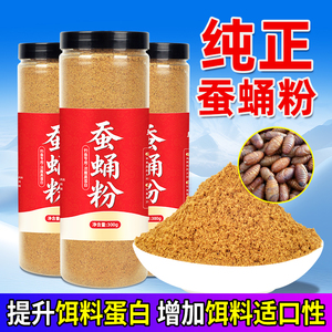 高蛋白纯正现磨蚕蛹粉钓鱼饵料开口专用野钓黑坑鲫鲤草窝料诱食剂