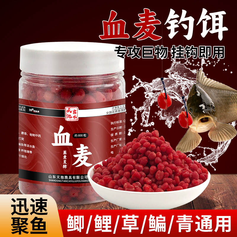 钓鱼麦粒挂钩血麦饵料