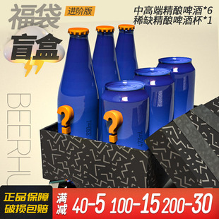 中高端啤酒6瓶 福袋盲盒 Beerhub进阶版 稀缺进口酒杯1只