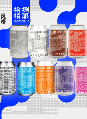 武汉拾捌18国产精酿啤酒跳东湖/不接受KPI/您桂杏/朋克330ml罐装