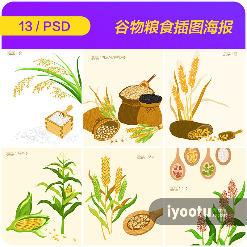 手绘五谷杂粮谷物玉米小麦大米插图海报psd分层设计素材i2141906