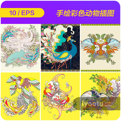 手绘彩色动物孔雀绘画涂色插图插画海报矢量设计素材源文件930114