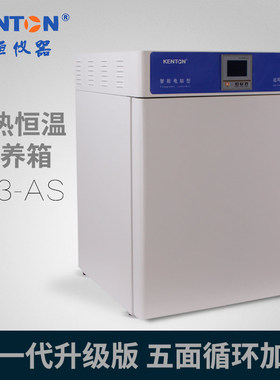 康恒仪器 电热恒温鼓风培养箱303-AS 不锈钢数显屏细菌霉菌培养箱