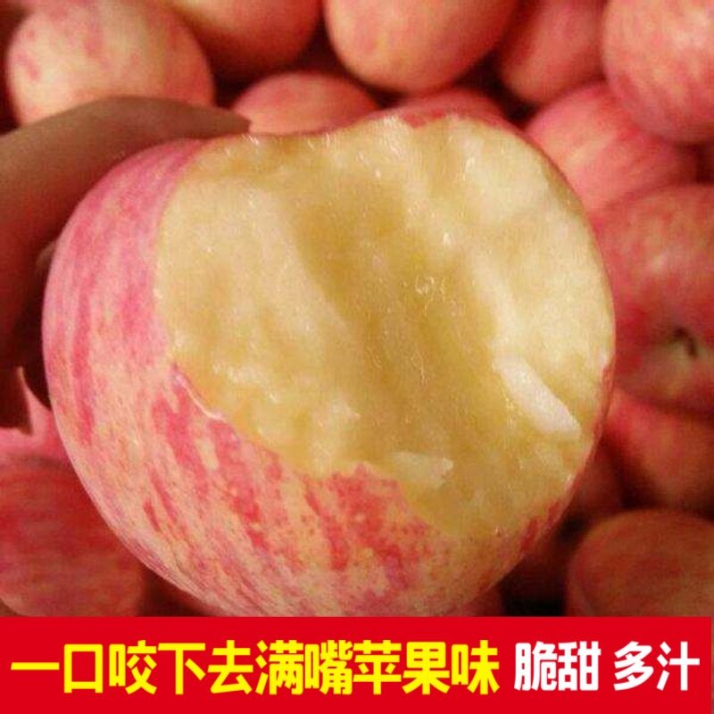 山东新款上海烟台水果栖霞红富士农家新鲜吃的冰糖心苹果5斤装,水产肉类/新鲜蔬果/熟食,菠萝,淘宝优惠券,粉丝福利购,淘宝优惠卷