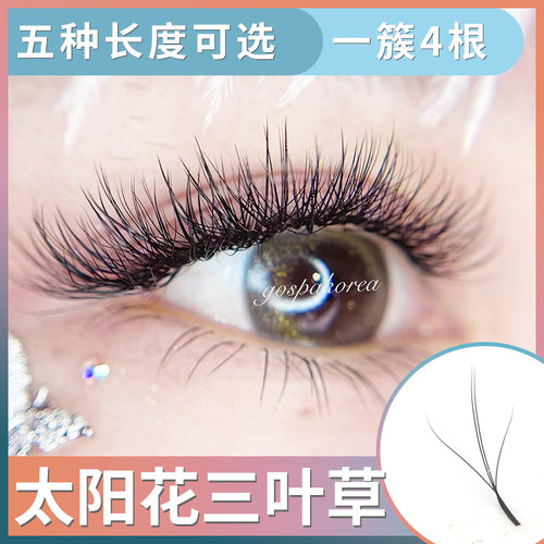 嫁接睫毛浓密嫁接睫毛三叶草